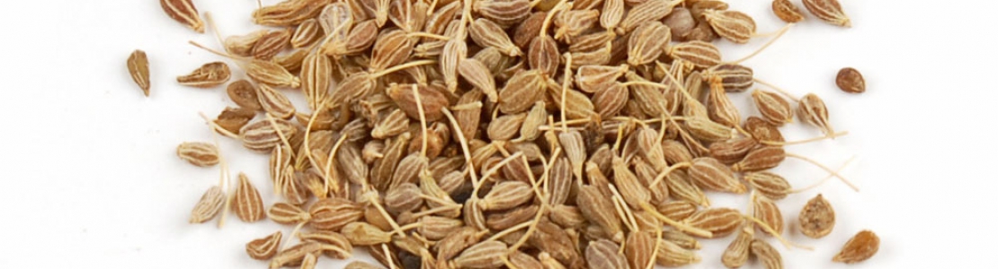 Aniseeds