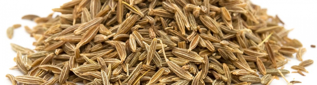 Caraway