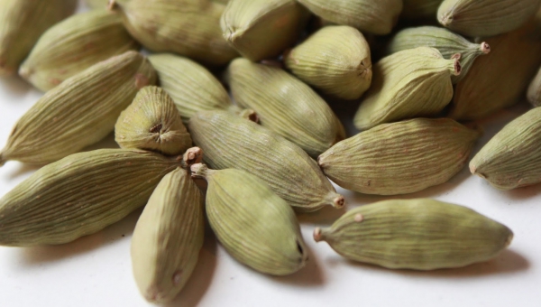 Cardamom