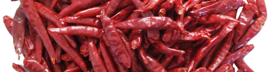 Pimenta-chili