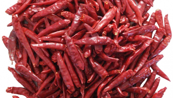 Pimenta-chili