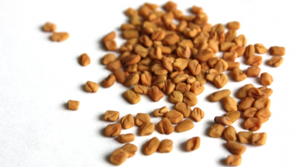 Fenugreek