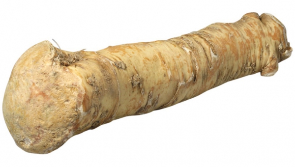 Horseradish