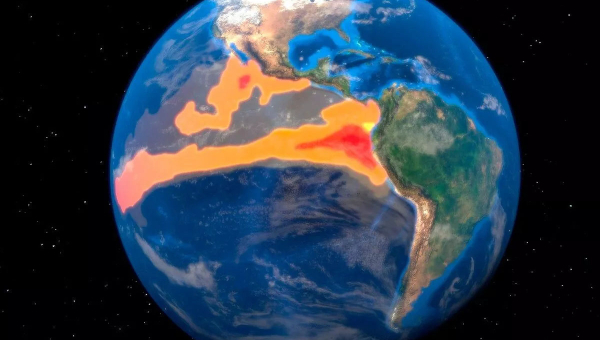 The El Niño impact on spices production