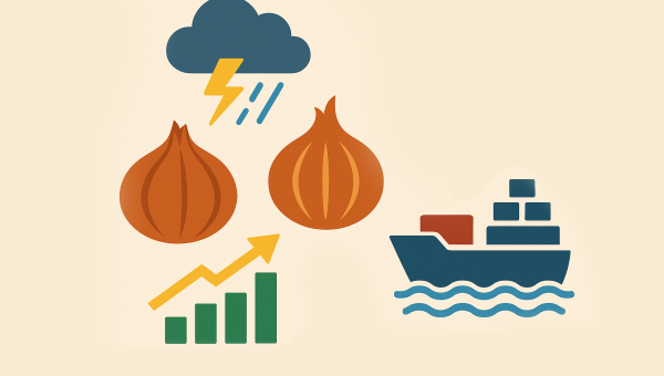India Onion Market Update